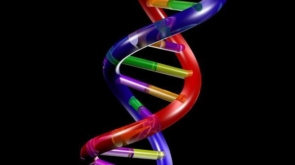 2013-12-dNA